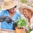Caregiver and Senior gardening as part of companion care activities.